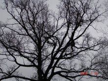 dsc01945