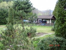 dsc04848