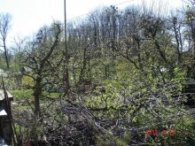 dsc04887