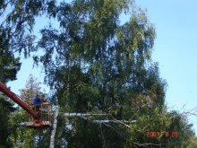dsc01074
