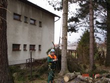 dsc01940-3