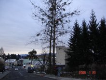 dsc01971