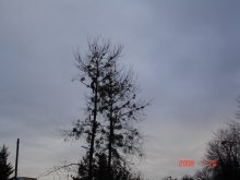 dsc01989