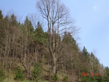 dsc02236