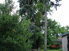 dsc02451
