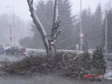 dsc03278