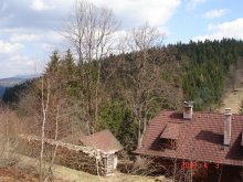 dsc03308