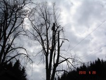 dsc03327
