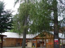 dsc05301