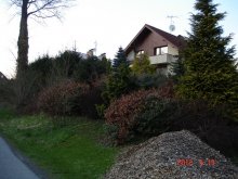 dsc04826