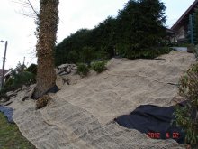 dsc04837