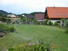 dsc05208