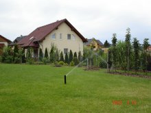 dsc05213