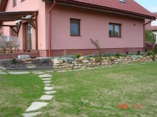 dsc03181