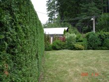 dsc05196