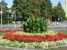 dsc01083