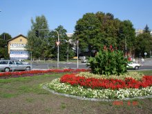 dsc01084