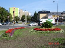 dsc01085