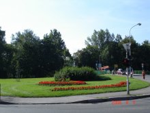 dsc02480
