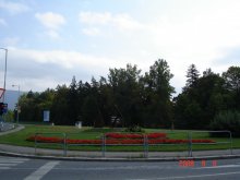 dsc02536
