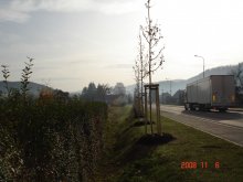 dsc02757