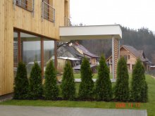 dsc02769