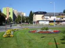 dsc04521