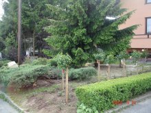 dsc05053