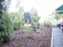 p7180552-kopie