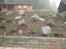 dsc03334