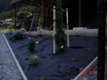 dsc04601
