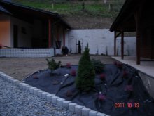 dsc04604