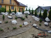 dsc05134
