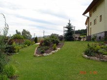 dsc05204