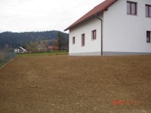 dsc03676