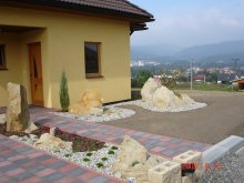 zakladani-travniku-4